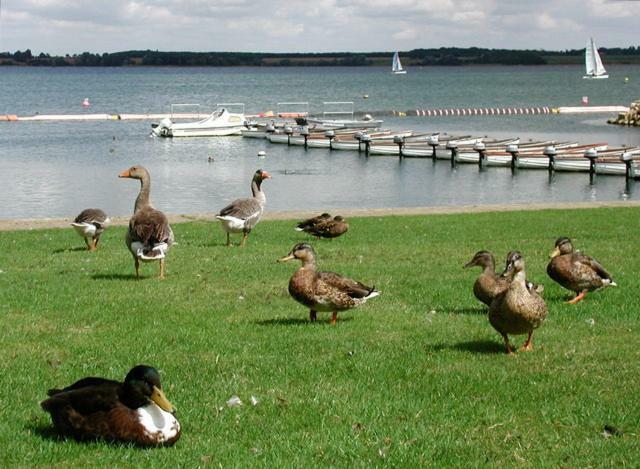 Grafham Water Lodge Экстерьер фото